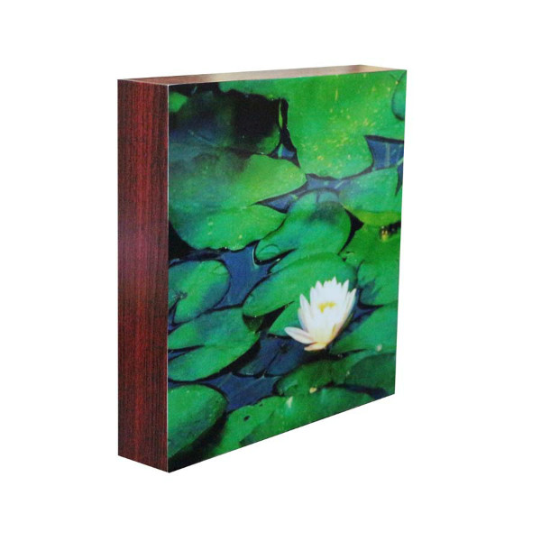 กรอบลอยภาพถ่ายดอกไม้